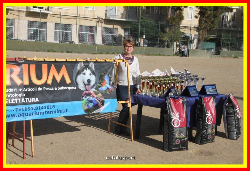 180311 mostra_canina 069.jpg